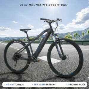 29 Zoll Elektrofahrrad 25km/h Pedelec Ebike Moped Bike Trekking E Mountainbike