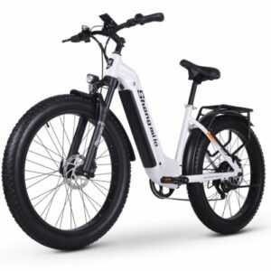 Damen eBike 26 Zoll E-fahrrad 1000W E-Mountainbike Fatbike 840Wh Elektrofahrrad