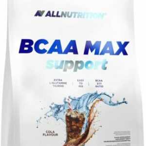 BCAA Pulver 1000g Aminosäure BCAAs Anabol Aminosäuren Powder 1Kg +  L-Glutamin