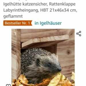 Igel Haus Winterquartier