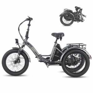 Elektrofahrrad Dreirad 500W 20 Zoll Pedelec E-Bike Lastenfahrrad für Erwachsene