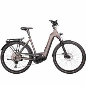 Hercules e-Bike Elektrofahrrad FUTURA MAX I-12 silber 28" 750 Wh 53cm