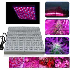 Blumenlampe Grow Light Frucht Garten LED Pflanzenlampe Voll Spektrum