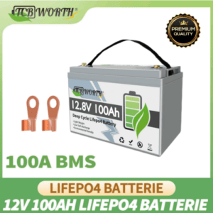 12V 100Ah LiFePO4 Akku Lithium Batterie 100A BMS Wohnmobil Solarbatterie Boot EU