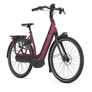 Gazelle Avignon C8 HMB Rot E-Bike Elektrofahrrad Pedelec 625Wh Bosch