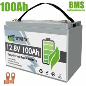 TCBWORTH 12V 100Ah LiFePO4 Lithium Batterie Solar Akku BMS für Boot Wohnmobil RV