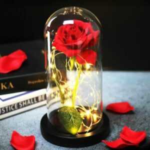 Ewige Rose in Glas mit LED für Frauen,Mama Geburtstagsgeschenk Valentinstag DE