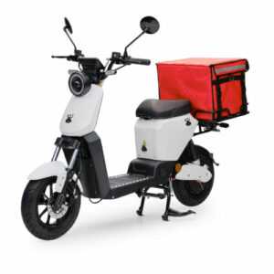 ANT weiß 45 kmh Retro Motorroller Moped Lieferroller...
