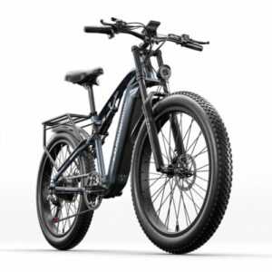 Samsung E-Bike 1000W 840WH E-Fahrrad 26'' Elektrofahrrad Vollfederung MTB Unisex