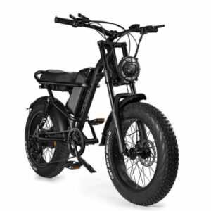 20" Offroad E-Bike MTB 500W Elektrofahrrad Fat Tires Elektro-Mountainbike 45km/h