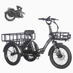 NEU 20 Zoll Elektro-Dreirad 3 Räder Fahrrad 500W E-Bike Cargo Trike mit Korb