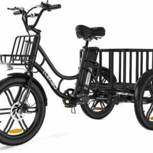 ELEKGO Elektro Dreirad E-Bike 20 Zoll 3 Räder Fahrrad 250W Cargo Trike mit Korb