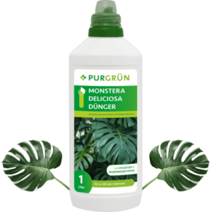 Purgrün Monstera-Deliciosa-Dünger 1 Liter