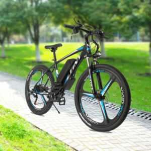 26 Zoll E-Mountainbike 21 Gänge Elektrofahrrad E-Bike 250W 48V Motor Pedelec  DE