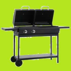 Gas Holzkohle Grill  mit 2 Brenner Profi Ware statt € 320,99  Werkversand