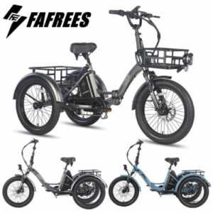 Fafrees F20 Mate 3-Rad Elektrofahrrad 20 Zoll Elektro Dreirad E-Bikes / Ein Korb