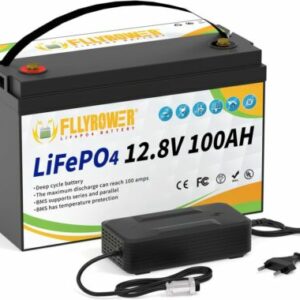 LiFePO4 100Ah 12V Lithium Batterie Akku BMS Wohnmobil Solarbatterie Boot