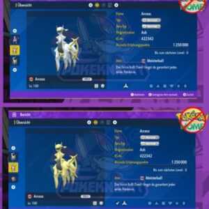 Arceus Shiny/ non shiny 6DV Lvl 100 EV/AP Set Pokemon Karmesin und Purpur