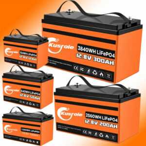 12V 300Ah LiFePO4 Akku Solarbatterie Lithium Batterie für Wohnmobil Solar 100Ah