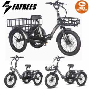 FAFREES Faltbar 3-Rad Elektrofahrrad 20 Zoll Elektro Dreirad E-Bikes / Ein Korb