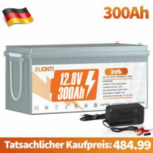 12V 300Ah LiFePO4 Lithium Batterie Solar Wohnmobil Boot Akku BMS 15000+ Zyklen