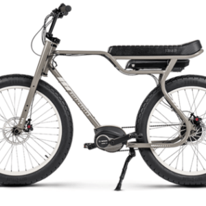 RUFF CYCLES EBIKE BIGGIE BRONSON GREY - BOSCH PEDELEC (EU)