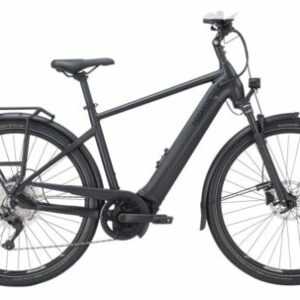 Pegasus Premio evo 10 lite E-Bike Pedelec Elektrofahrrad RH 55cm/L