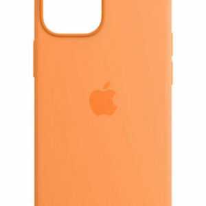 Apple original Leder Hülle Case Cover iPhone 13 Mini mit Magsafe