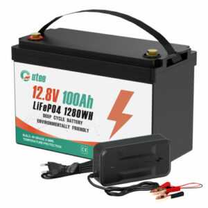 12V LiFePO4 100Ah Lithium Batterie Akku BMS Solarbatterie Solar Boot+ Ladegerät