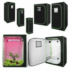 Growbox Gewächshaus Darkroom Homegrowing Growzelt Tent Box Mit Gurt Pflanzen