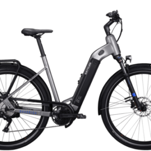 Kettler Elektrofahrrad Quadriga DUO CX10 2x625Wh RH45 E-Bike Wave Fachhändler