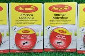 (2,38€)/Stück) 4x Aeroxon AMEISEN KÖDERDOSE  Ameisenköderdose Insektenschutz