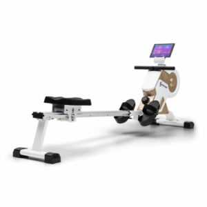 Rudergerät Magnet Rudermaschine Fitness Ausdauer Heimtrainer LC-Display weiß