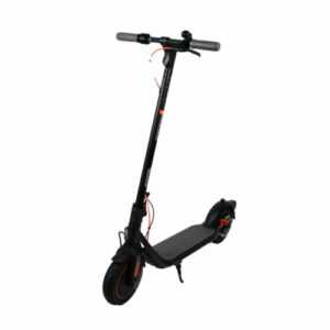 Ninebot F40D II powered by Segway E-Scooter 10 Zoll Elektroscooter Schwarz