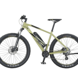 PROPHETE Graveler 21.ESM.10 E-Mountainbike, Grün, 48 cm Rahmen, 27,5 Zoll, Blaup