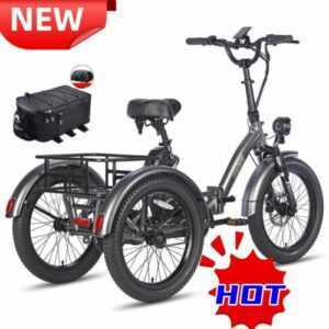 NEU Fafrees F20 Mate Elektro Dreirad 20 Zoll E-Bike  3 Räder Fahrrad mit Korb