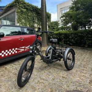 Fafrees F20 Mate Elektro Dreirad 20 Zoll E-Bike 500W 3 Räder Fahrrad mit Korb