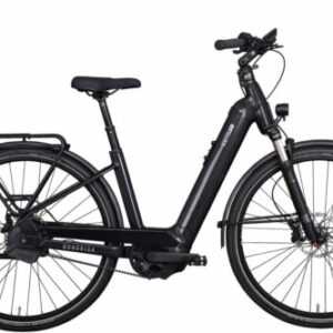 KETTLER E-Bike, QUADRIGA Pro Belt Automatik 53 cm, 750 Wh  Herbstschnäppchen