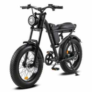 20" E Bike 500W Elektro Fahrrad 45km/h Mountainbike 15.6Ah 48V E Fatbike