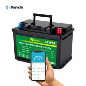 12V 100Ah LiFePO4 Akku Lithium Batterie für Wohnmobil Solar Notstromversorgung