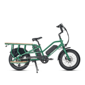 E bike 48V 15Ah LG Li-Ion 80 KM/150 KM Leistungsstarker Motor Lastenrad E-bike