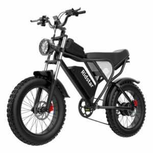 20" Elektrofahrrad Fat Tire e bike Mountainbike MTB 1000W 48V 20Ah Akku E-Bike