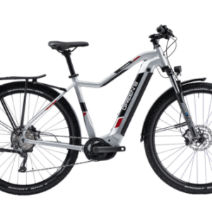 Green's Corwen F625 E-Bike Bosch Performance CX 85Nm 29"