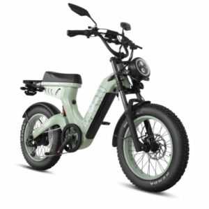 Cyrusher Scout 20Zoll 52V20AH Mopedähnlichesvollgefedertes Elektrofahrrad E-Bike