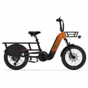 Lankeleisi Wombat-1 1000W Longtail E-Lastenrad 20 Zoll Fatbike E Bike 48V 25km/h