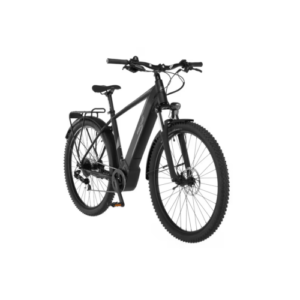 FISCHER TERRA 5.0i 29 ZOll ATB E-Bike für Herren - Schwarz matt, 46cm