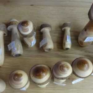 Pilz aus Holz mittelgroß teils mit Rinde 4 und 13 cm Kappe 4 - 10 cm 204 - 250