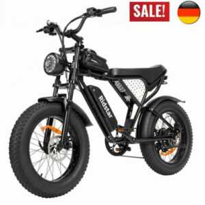 E BIKE MTB 20 Zoll Elektrofahrrad 1000W 48V 15Ah Offroad Mountainbike Fatbike DE