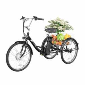 GOGOBEST GF100 E Dreirad Cargo Bike Fahrrad 350W Motor 40N.m 7 Gänge Schwarz