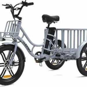 Elekgo Elektro Dreirad E-Bike 20 Zoll 3 Räder Fahrrad 500W Cargo Trike mit Korb